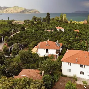  Hotel Soul Turkey